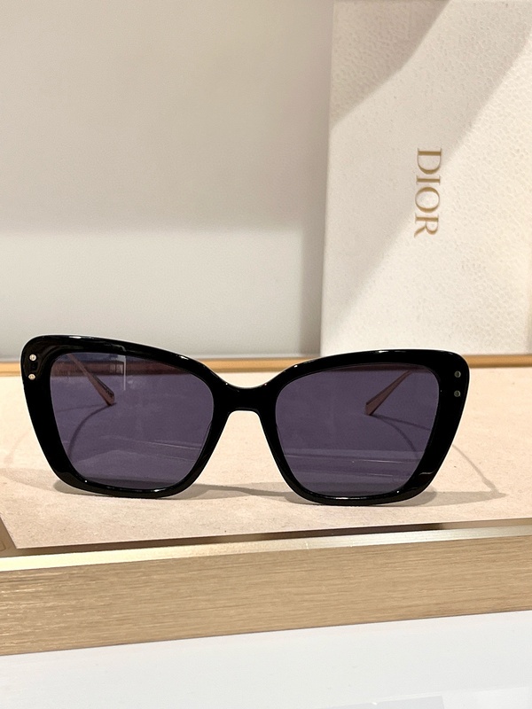 DIOR Sunglasses 11